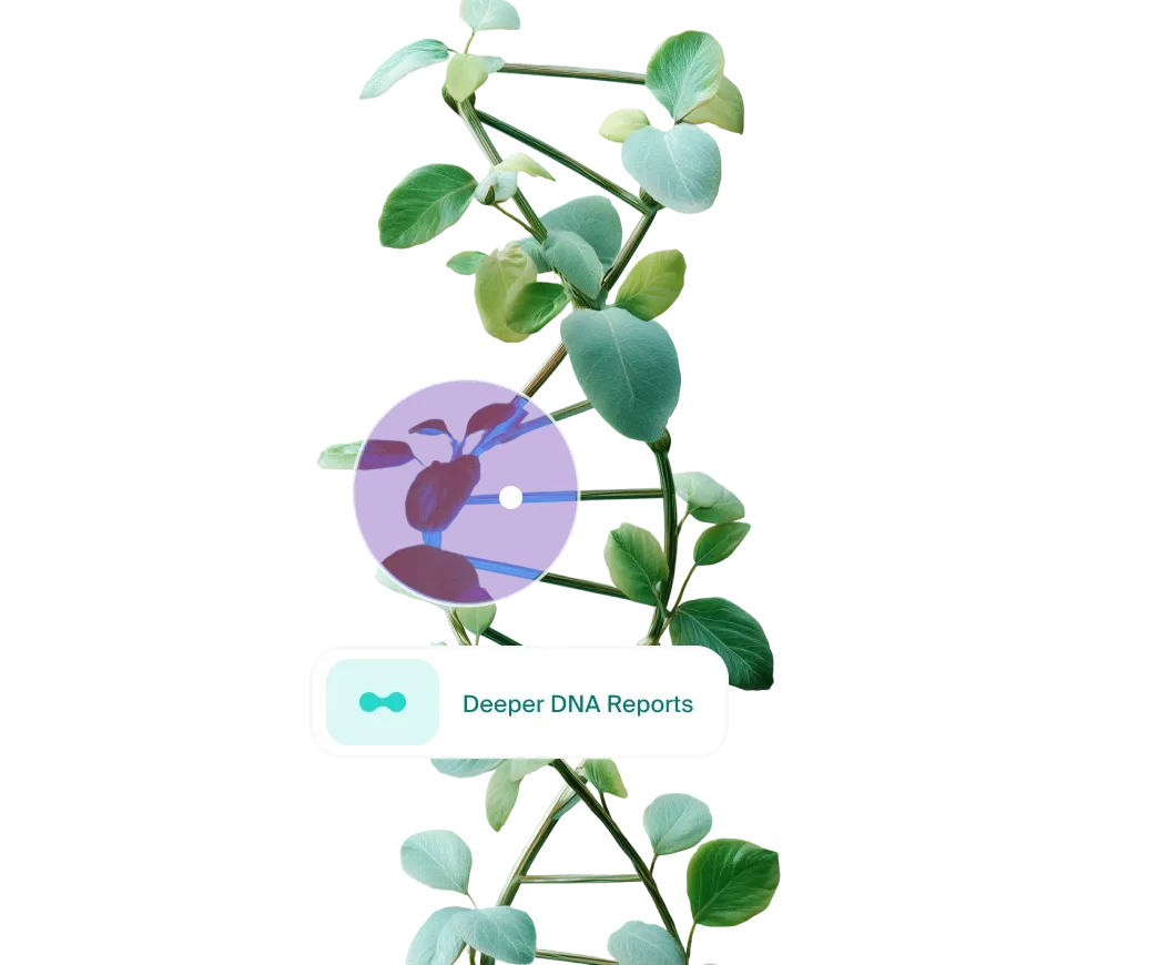 300+ Page Advanced DNA Report for Deeper Health Insights