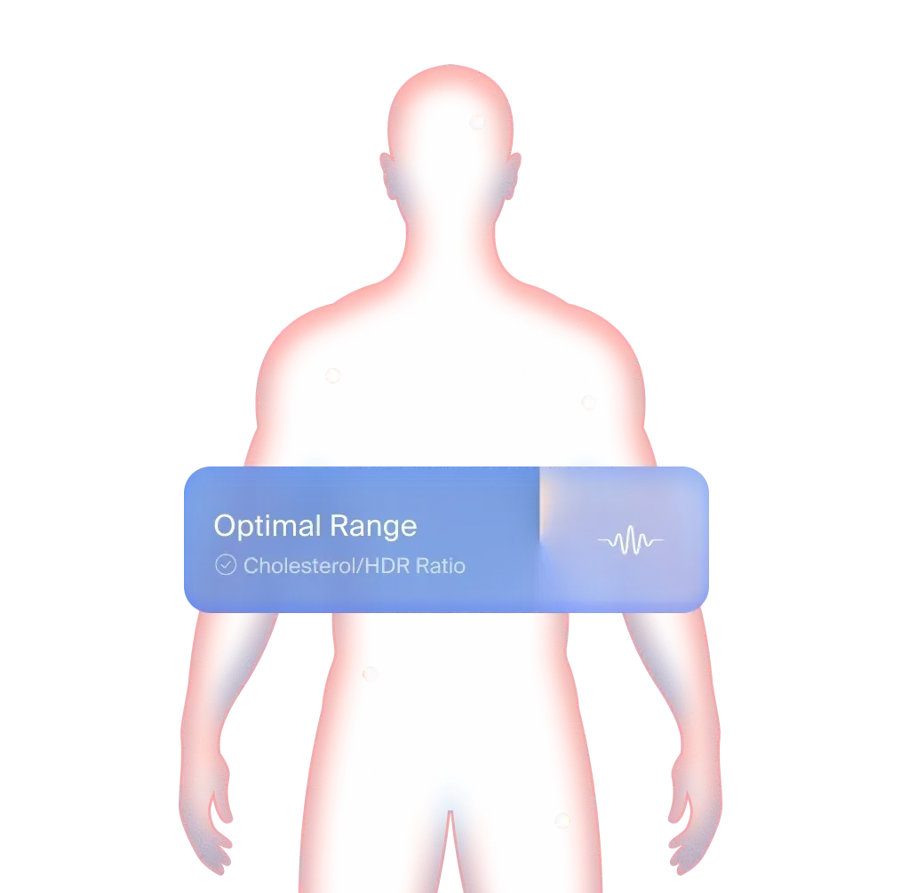 Illustration showing 300+ biomarkers analyzed in a full body health checkup for men in Dubai
