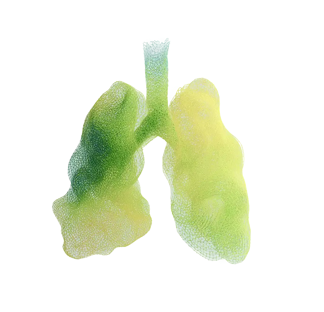 Better Breathing & Lung Capacity