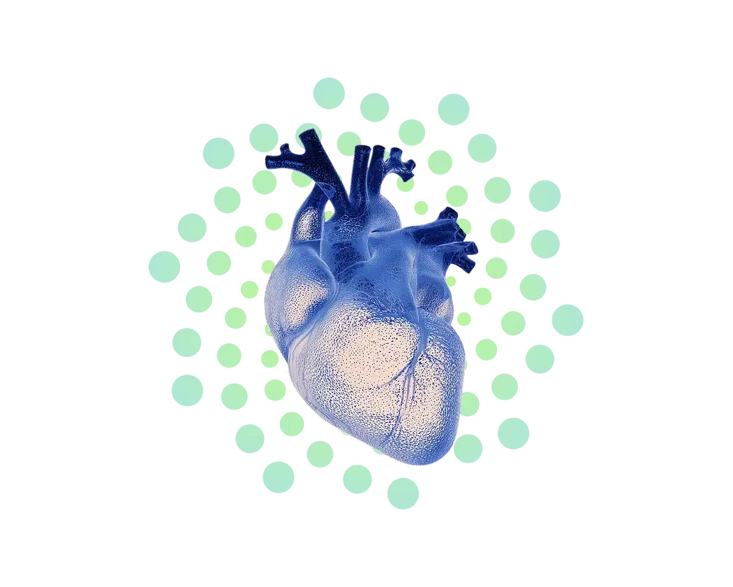 Supports Heart & Lung Function