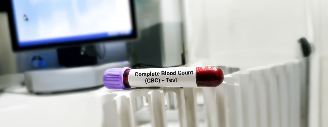 Normal Blood Count Range