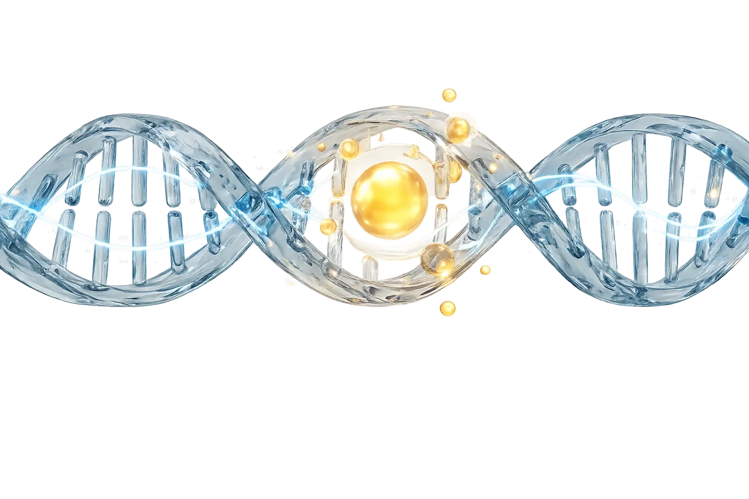 DNA cellular repair illustration