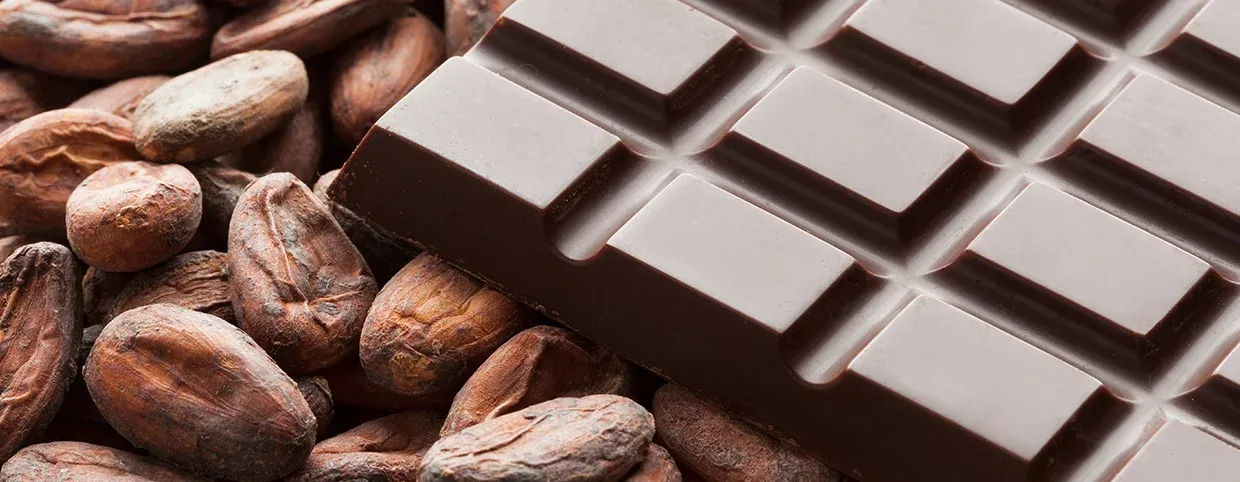 Antioxidants: Types and Mechanism of Action