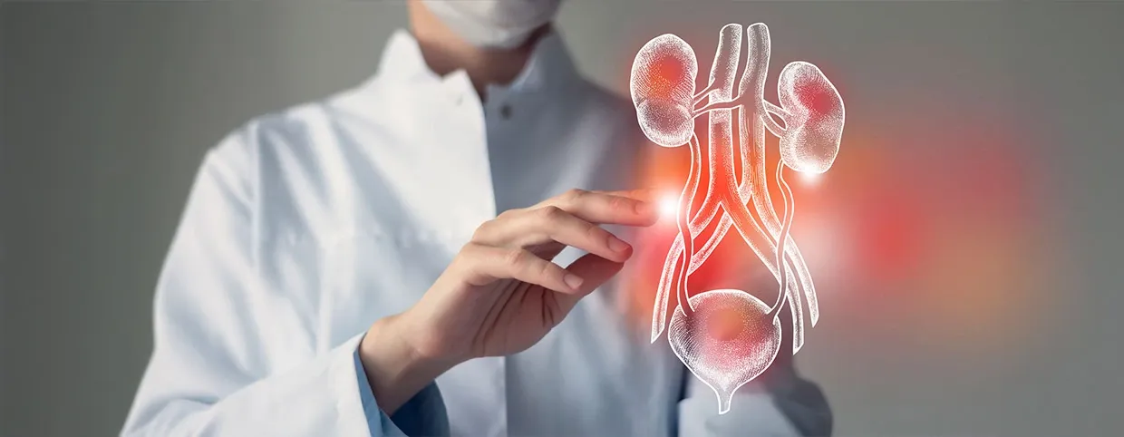 What is an Urinary Tract Infection (UTI)?