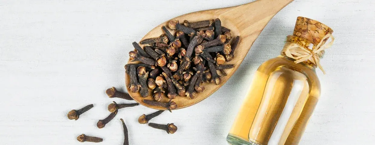 Simple Home Remedies to Support Your Dental Health